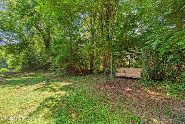 713 Skyline Dr, Clinton, TN 37716 - photo 51
