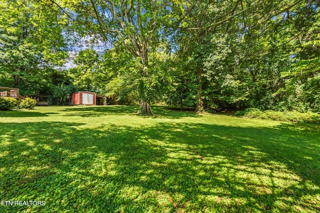 713 Skyline Dr, Clinton, TN 37716 - photo 53
