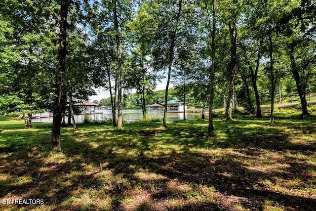 438 Lake Harbor Dr, Spring City, TN 37381