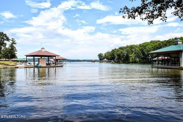 438 Lake Harbor Dr, Spring City, TN 37381