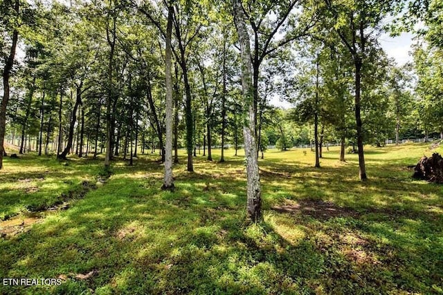 438 Lake Harbor Dr, Spring City, TN 37381