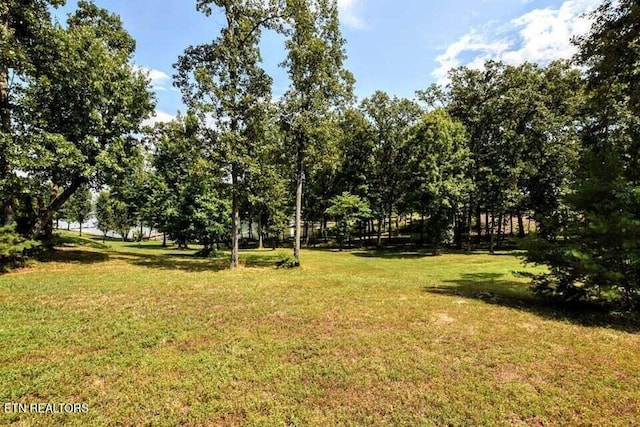 438 Lake Harbor Dr, Spring City, TN 37381