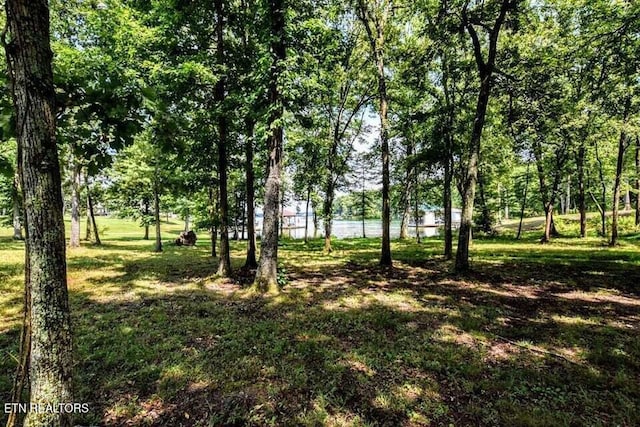438 Lake Harbor Dr, Spring City, TN 37381