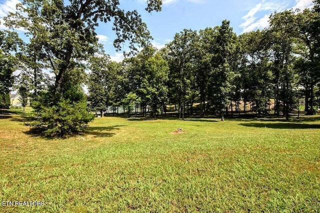 438 Lake Harbor Dr, Spring City, TN 37381
