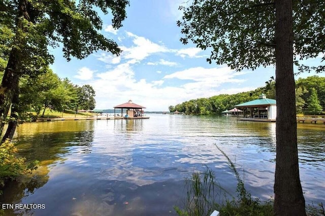 438 Lake Harbor Dr, Spring City, TN 37381