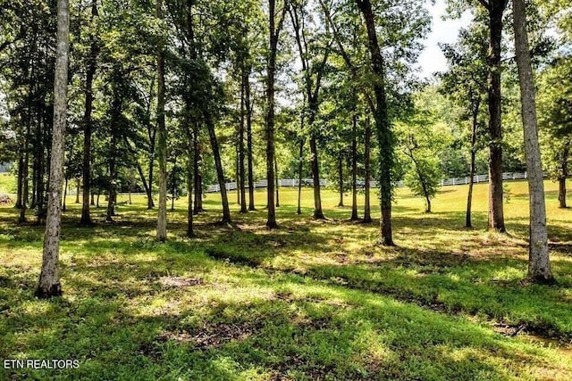 438 Lake Harbor Dr, Spring City, TN 37381