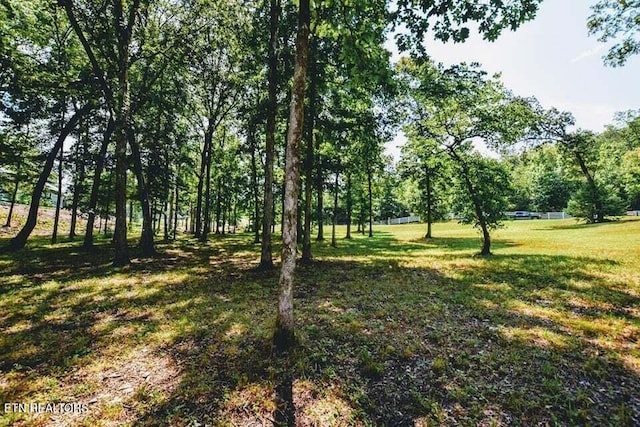 438 Lake Harbor Dr, Spring City, TN 37381