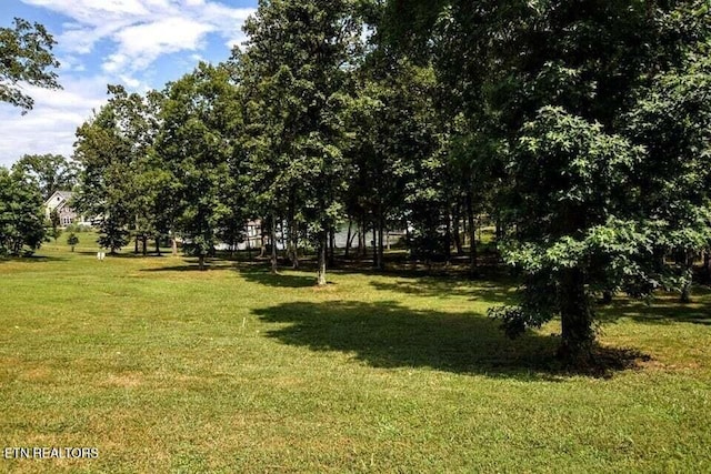 438 Lake Harbor Dr, Spring City, TN 37381