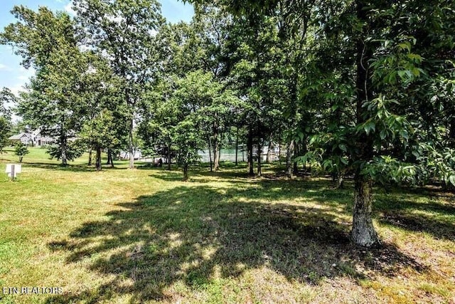 438 Lake Harbor Dr, Spring City, TN 37381