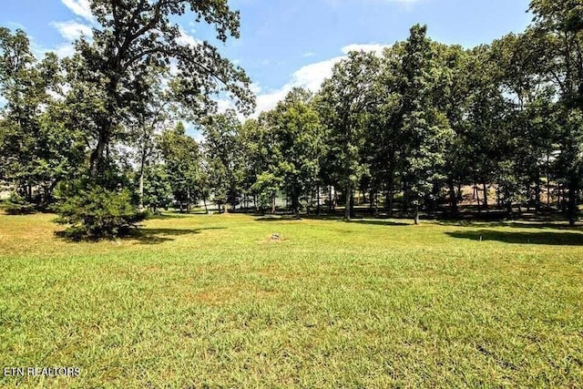 438 Lake Harbor Dr, Spring City, TN 37381