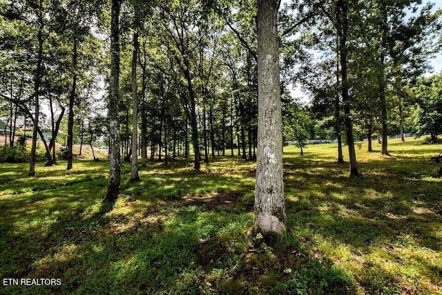 438 Lake Harbor Dr, Spring City, TN 37381