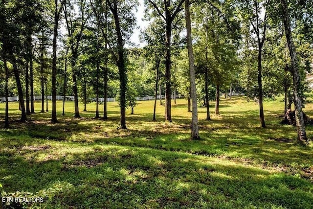 438 Lake Harbor Dr, Spring City, TN 37381