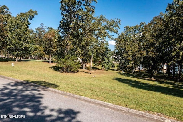 438 Lake Harbor Dr, Spring City, TN 37381