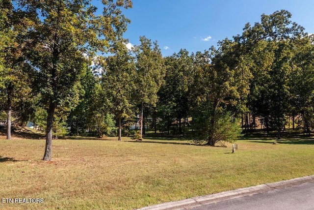 438 Lake Harbor Dr, Spring City, TN 37381