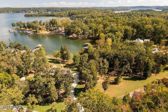 438 Lake Harbor Dr, Spring City, TN 37381