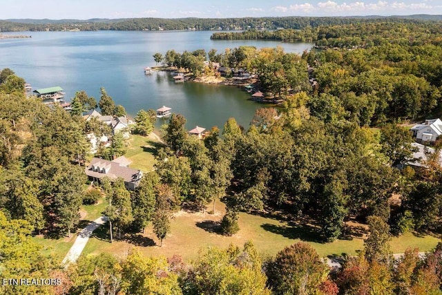 438 Lake Harbor Dr, Spring City, TN 37381
