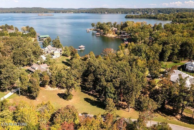438 Lake Harbor Dr, Spring City, TN 37381