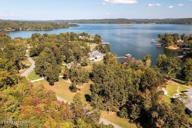 438 Lake Harbor Dr, Spring City, TN 37381