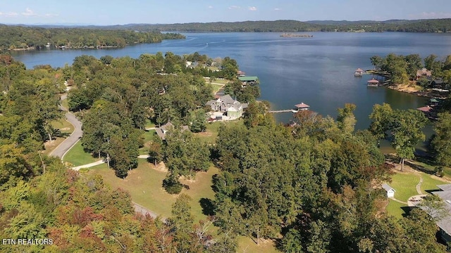 438 Lake Harbor Dr, Spring City, TN 37381