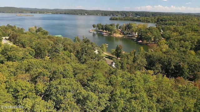 438 Lake Harbor Dr, Spring City, TN 37381