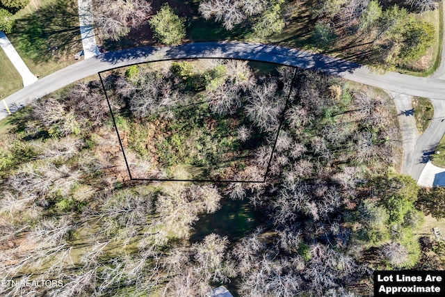 Cherokee Dr, Maryville, TN 37801 - photo 3