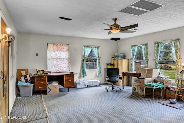 912 E Hendron Chapel Rd, Knoxville, TN 37920 - photo 11