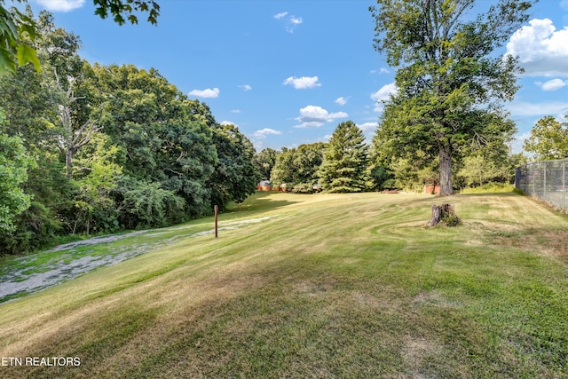 912 E Hendron Chapel Rd, Knoxville, TN 37920 - photo 22