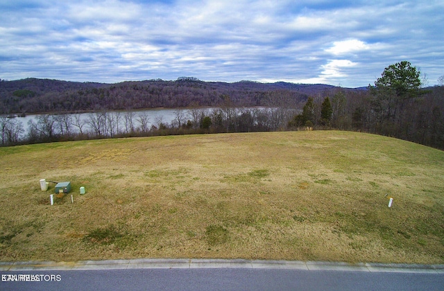 2619 Persimmon Rdg, Loudon, TN 37774 - photo 3