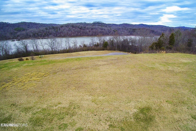 2619 Persimmon Rdg, Loudon, TN 37774 - photo 1