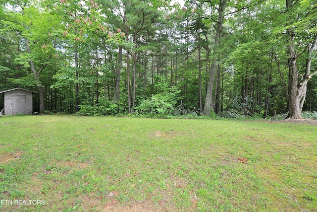 815 Ross Cemetery Rd, Winfield, TN 37892 - photo 25