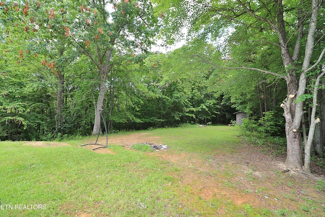 815 Ross Cemetery Rd, Winfield, TN 37892 - photo 26