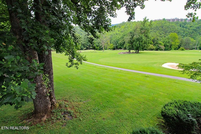 3815 E E Pkwy Apt 4, Gatlinburg, TN 37738 - photo 28