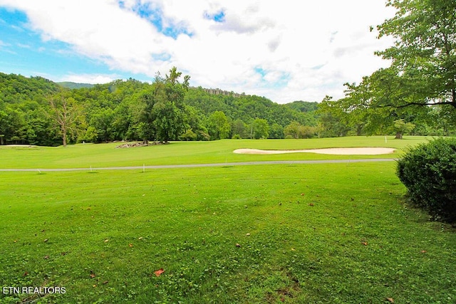 3815 E E Pkwy Apt 4, Gatlinburg, TN 37738 - photo 30