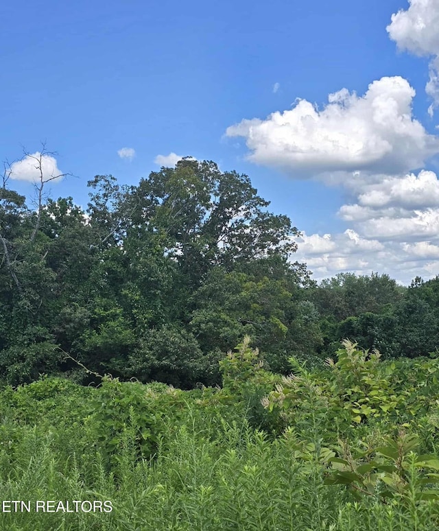 52 Paint Rock Ferry Rd, Kingston, TN 37763 - photo 6