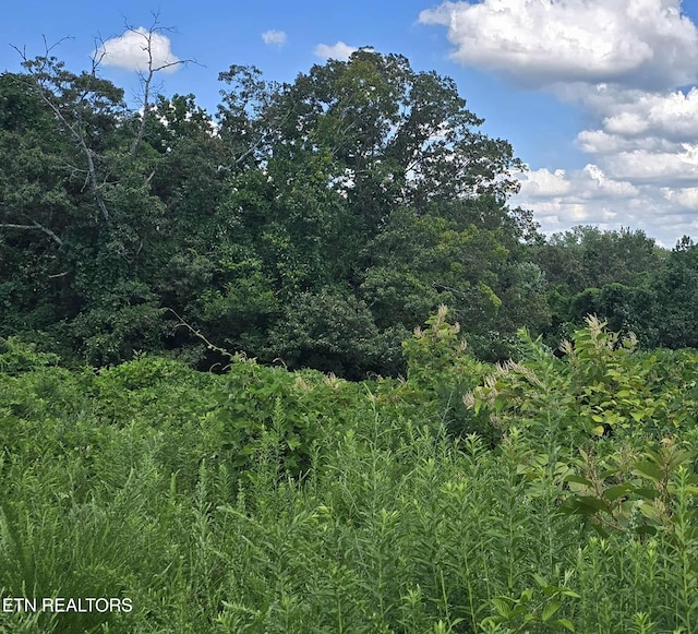 52 Paint Rock Ferry Rd, Kingston, TN 37763 - photo 2