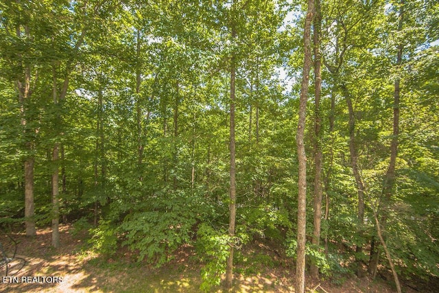 508 Kings Cl, Kingston, TN 37763 - photo 54