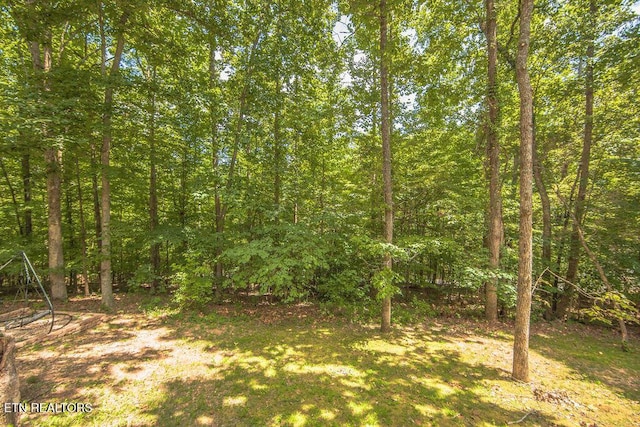 508 Kings Cl, Kingston, TN 37763 - photo 53