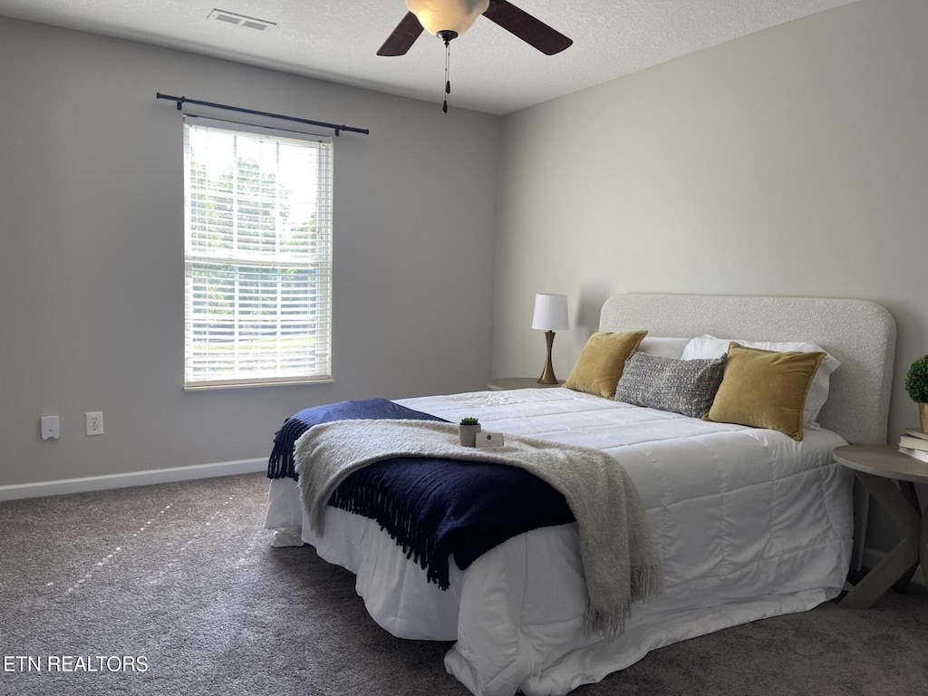 4828 Poplar Crest Way, Knoxville, TN 37918 - photo 3