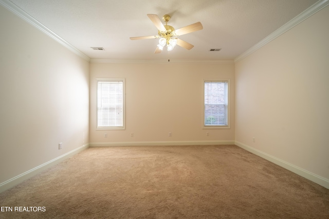 5304 Tazewell Pointe Way, Knoxville, TN 37918 - photo 20