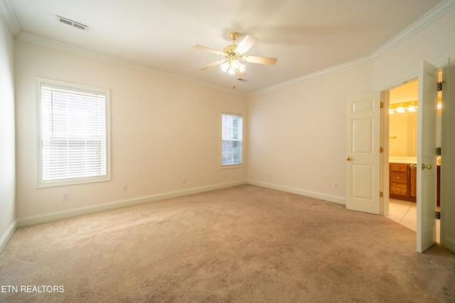 5304 Tazewell Pointe Way, Knoxville, TN 37918 - photo 23