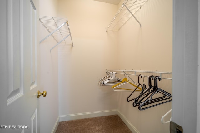 5304 Tazewell Pointe Way, Knoxville, TN 37918 - photo 24
