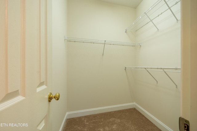 5304 Tazewell Pointe Way, Knoxville, TN 37918 - photo 25