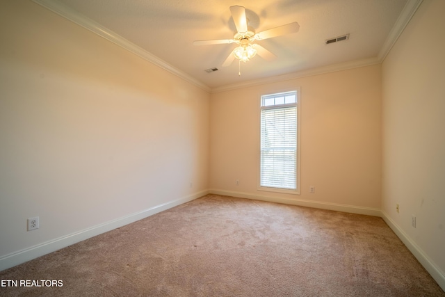 5304 Tazewell Pointe Way, Knoxville, TN 37918 - photo 31