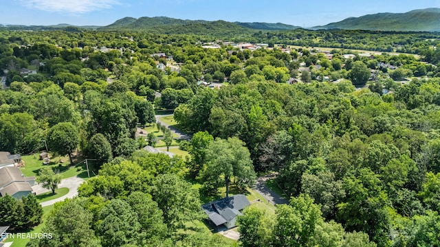 1200 Indiana Ave, Etowah, TN 37331 - photo 31