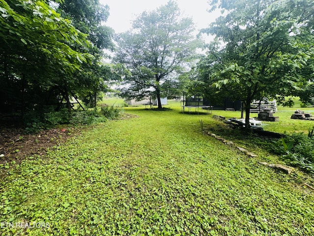 1950 Everhart Ln, Knoxville, TN 37921 - photo 18