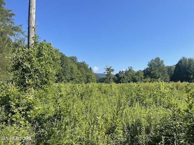 962 Marlow Cir, Clinton, TN 37716