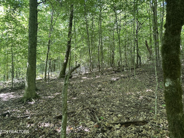 962 Marlow Cir, Clinton, TN 37716 - photo 4
