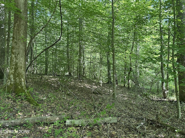 962 Marlow Cir, Clinton, TN 37716 - photo 6