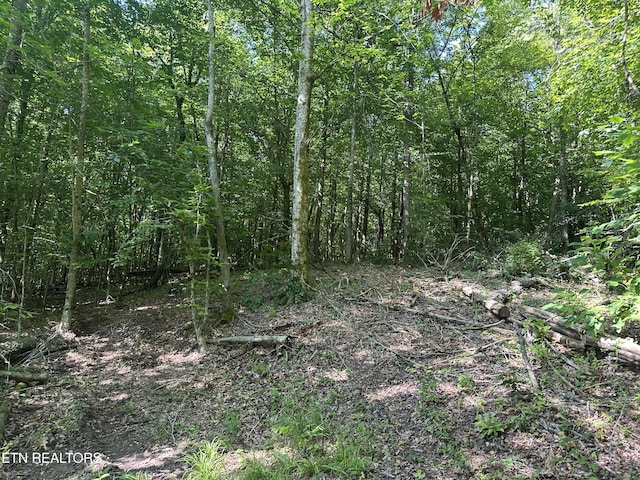 962 Marlow Cir, Clinton, TN 37716 - photo 8