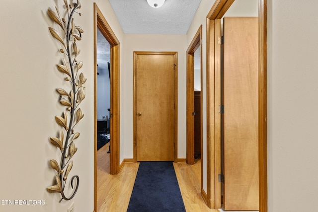 7211 Ghiradelli Rd, Knoxville, TN 37918 - photo 8